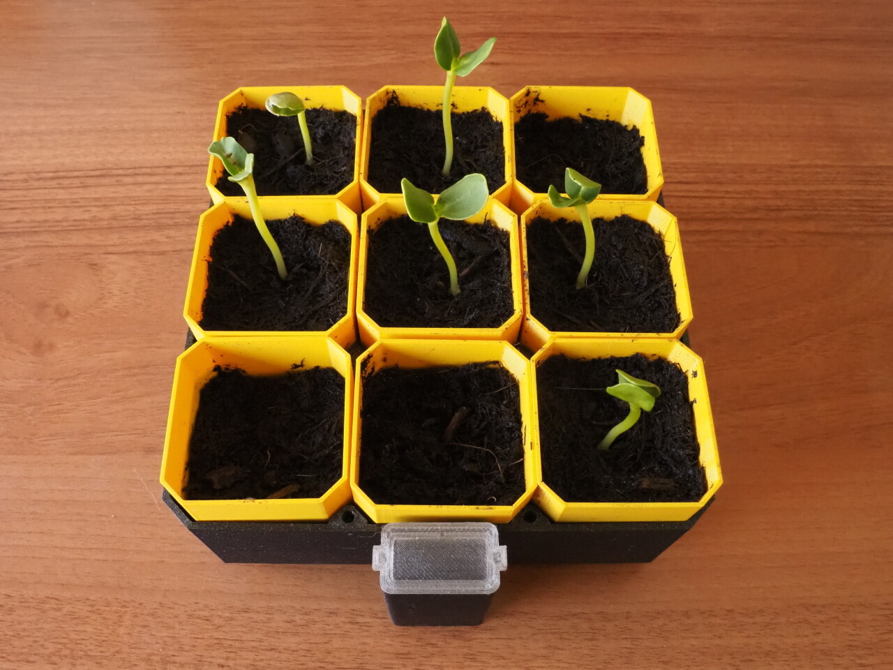 Small Self-Watering Seed Starter