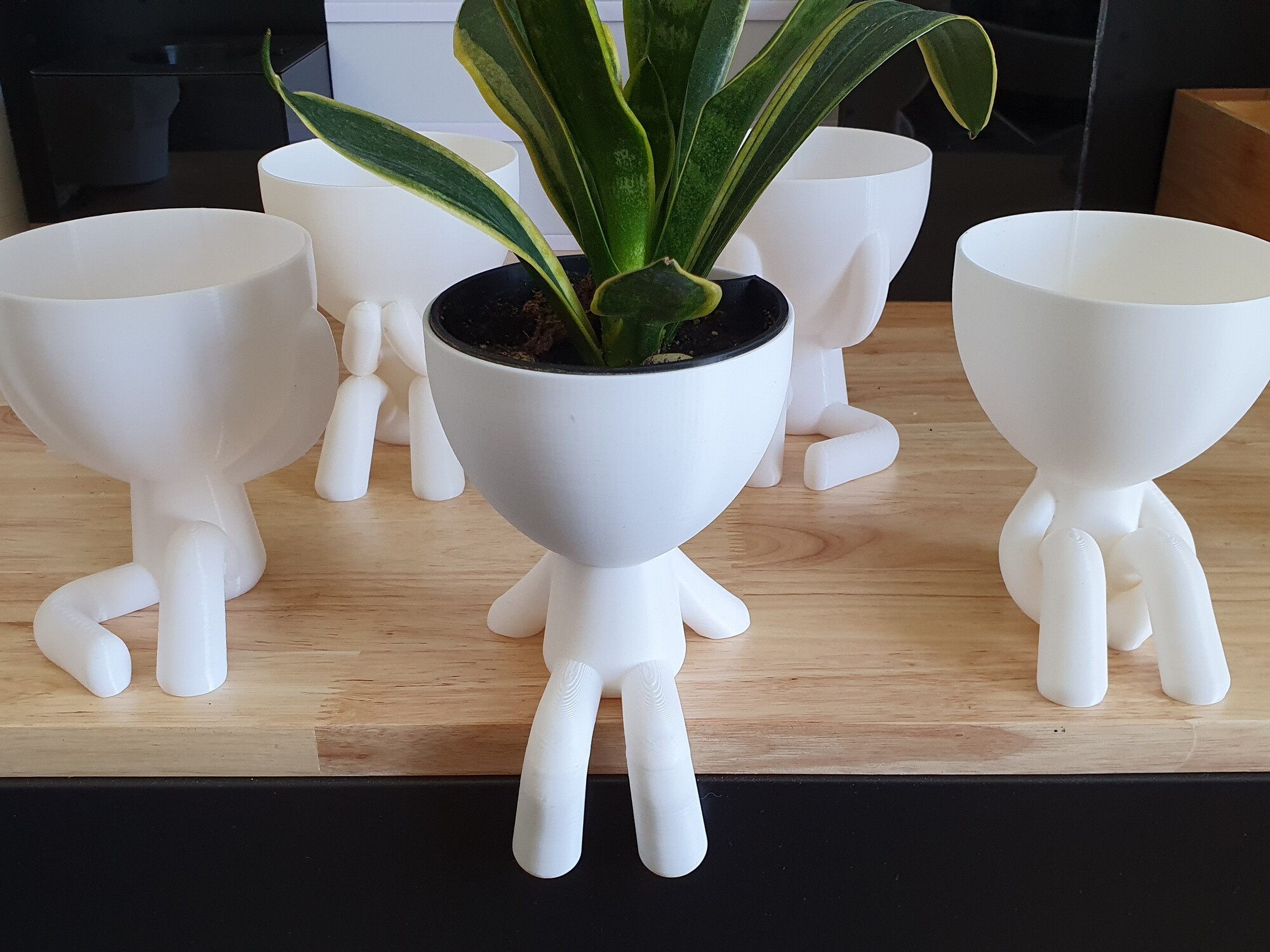 Hydroponic, Self-Watering, Seeds starter, Robert Planters