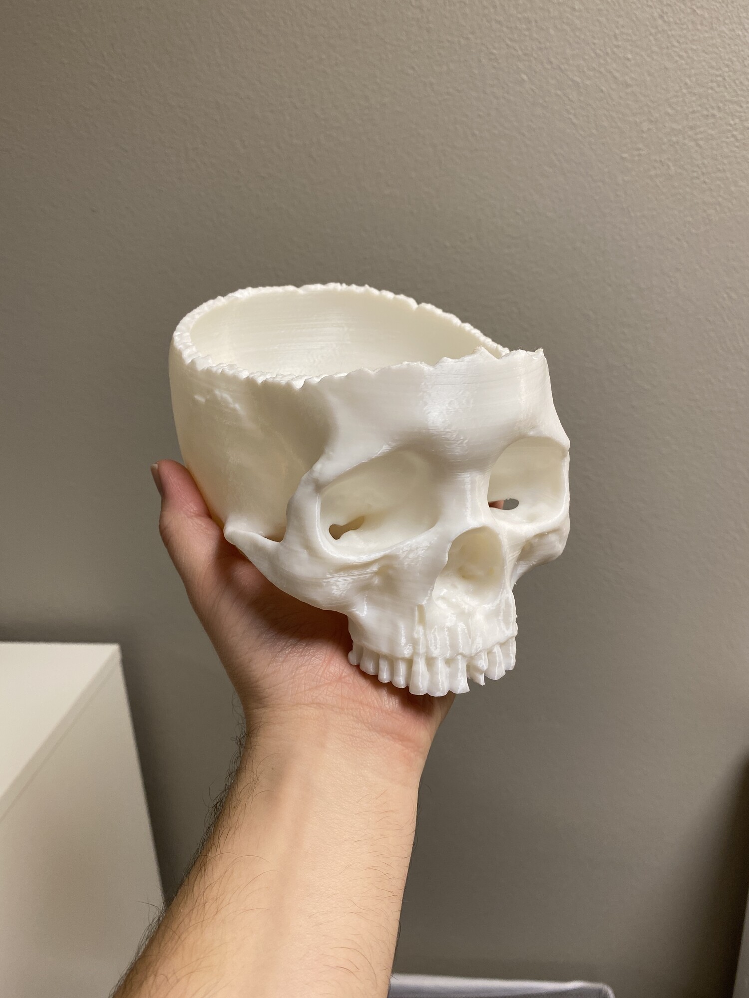 Realistic Skull Candy Bowl | Halloween Skull Decoration