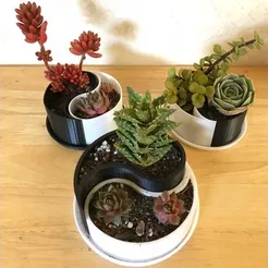 Customizable Yin-Yang Planter / Container