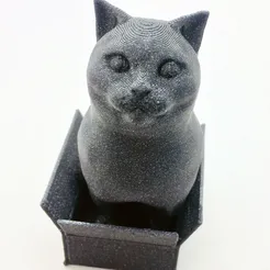Schrodinky! British Shorthair Cat Sitting In A Box(single extrusion version)