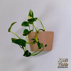 Wall hanging planter