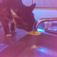 Cat faucet fountain